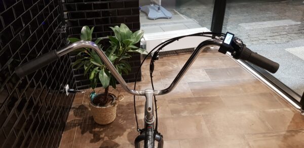 Easyrider elcykel 7 scaled